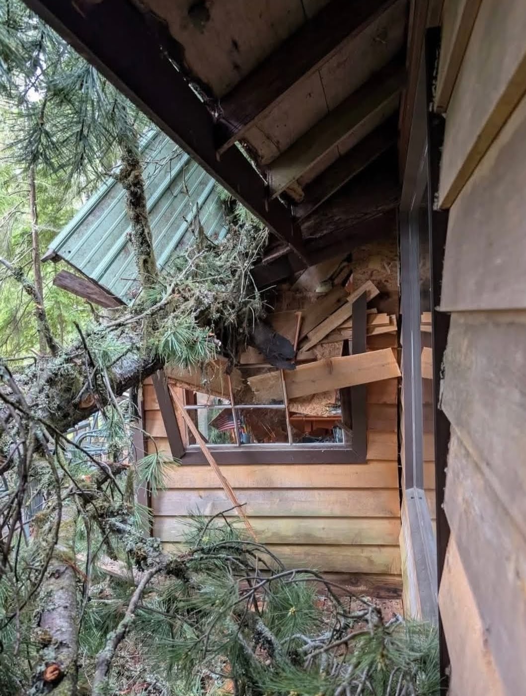 Storm Damage Cabin Rebuild photo 4