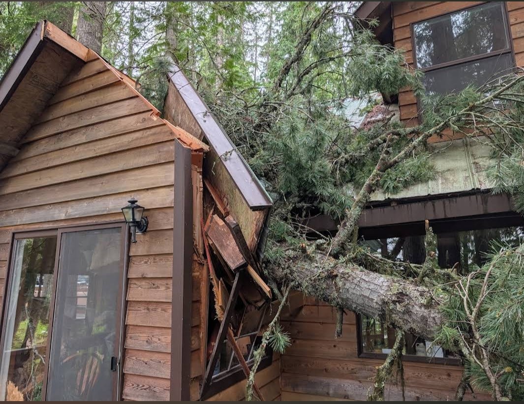 Storm Damage Cabin Rebuild photo 2